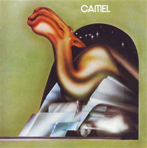 Camel