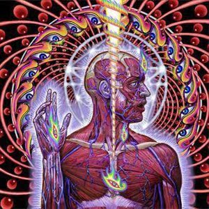 Lateralus